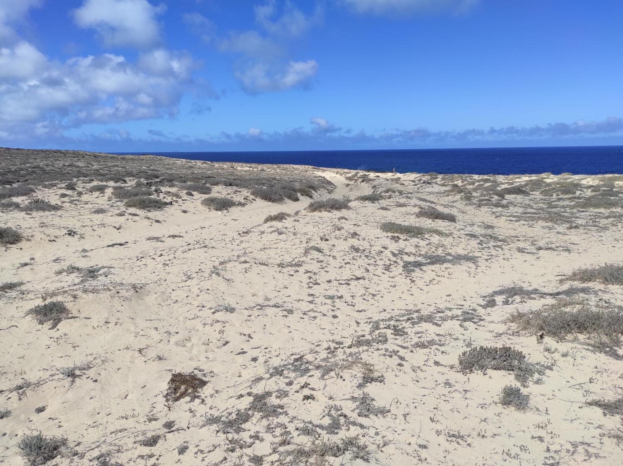 Casa De Los Pajaritos. Charco del Palo Eksteriør bilde